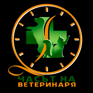 Часът на ветеринаря- Експертни съвети за вашите косматковци