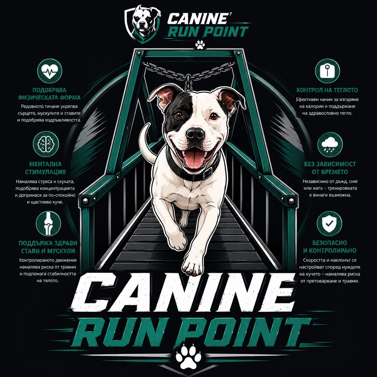 RunPoint
