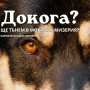 Докога ще тънем в морална мизерия?