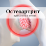 Остеоартрит при кучета и котки: Д-р Светослав Христов